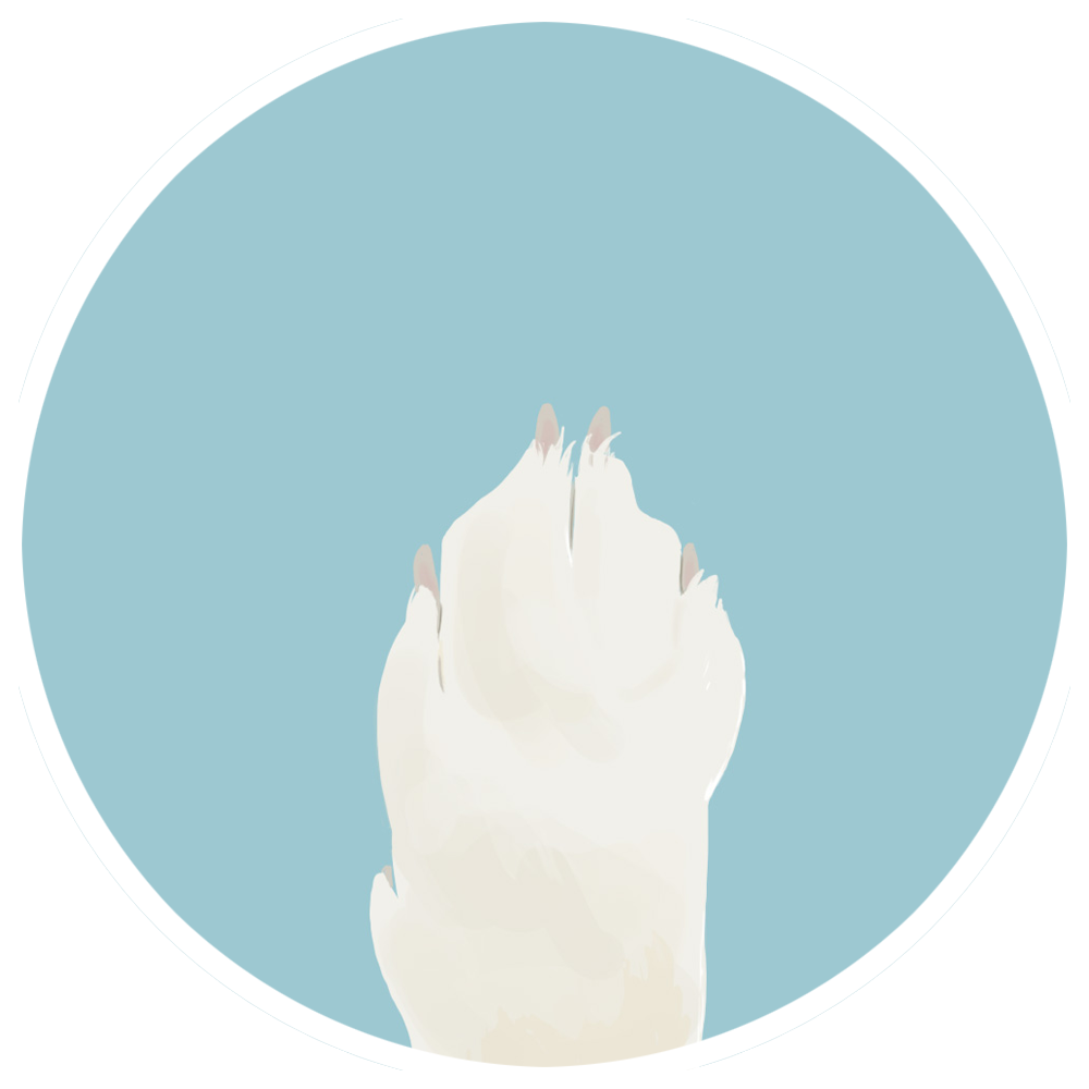 Chyappi logo
